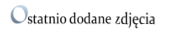 Ostatnio dodane zdjęcia